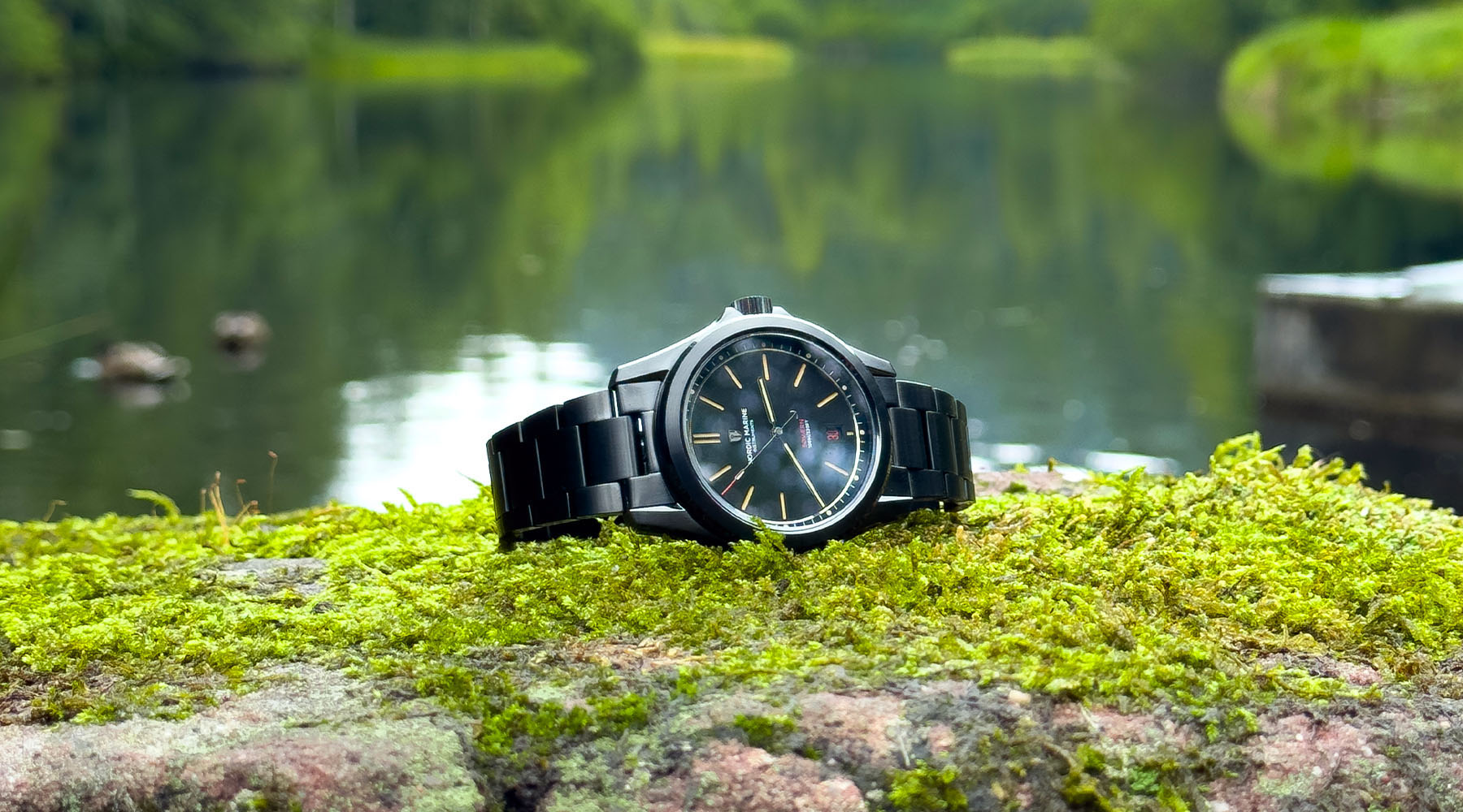 Into the Nordic Forest: A Field Watch Companion