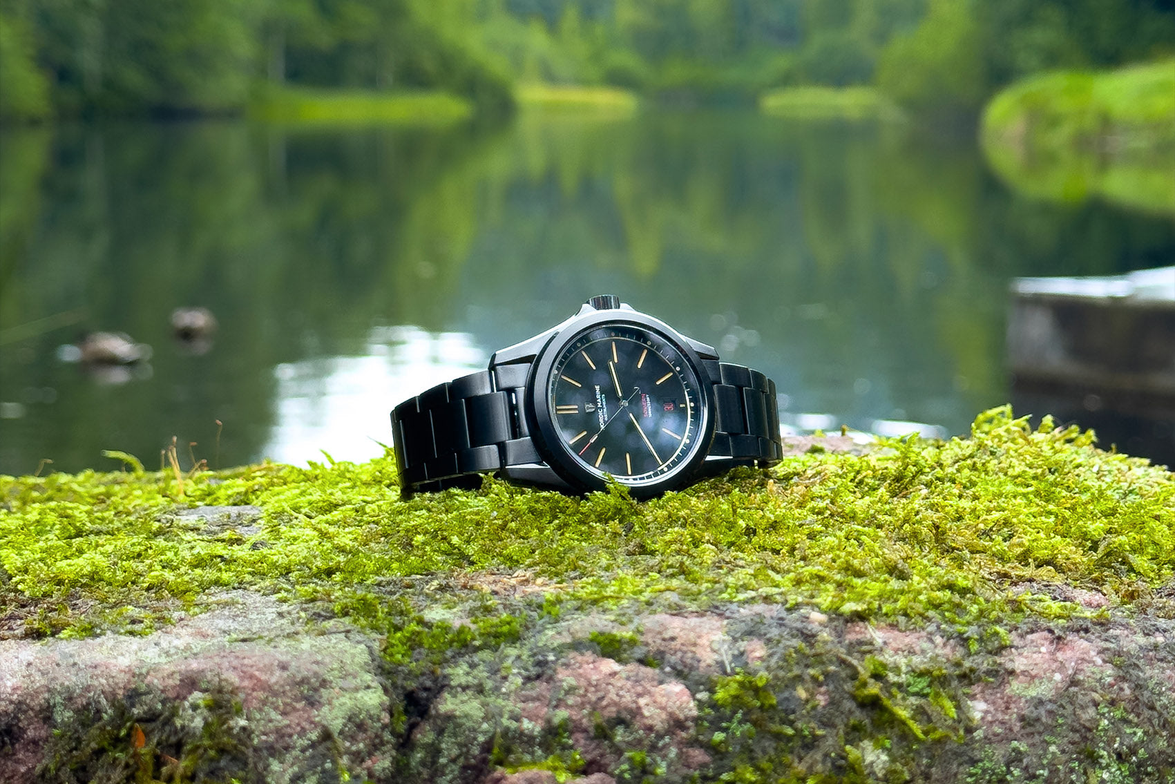 Into the Nordic Forest: A Field Watch Companion